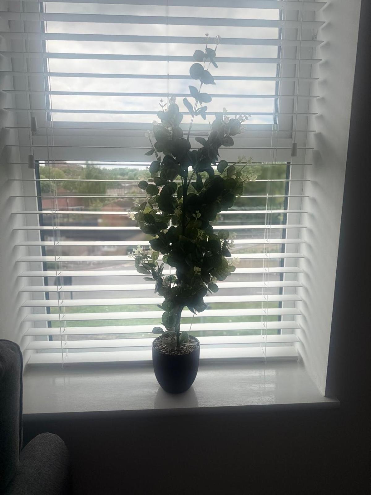 2 Beds Mint Drive With Secure Car Or Park W Wifi-netflix No Deposit Required *